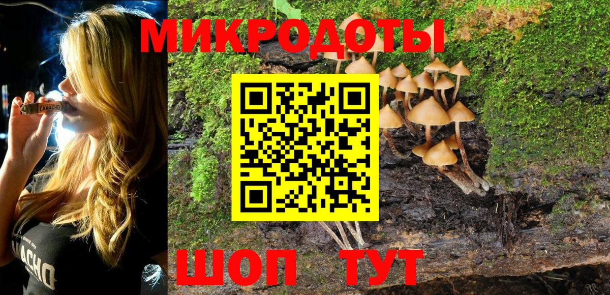 Псилоцибиновые грибы Magic Shrooms Гусиноозёрск