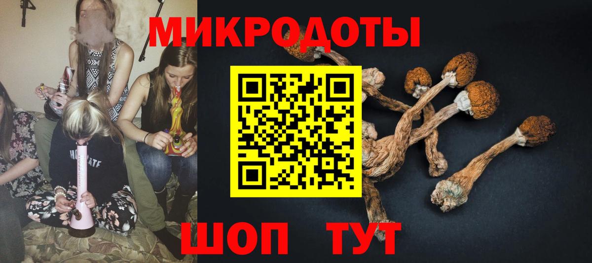 Псилоцибиновые грибы мухоморы  купить наркоту  Гусиноозёрск  Вход с VPN 
